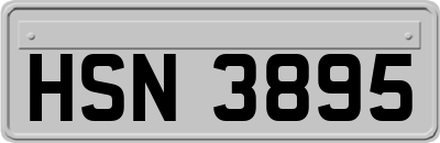 HSN3895