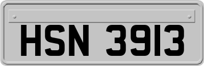 HSN3913
