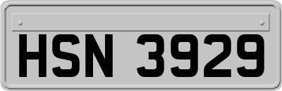HSN3929
