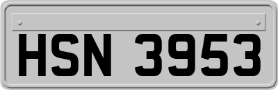 HSN3953