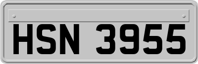 HSN3955