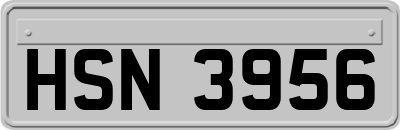 HSN3956