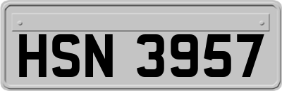 HSN3957