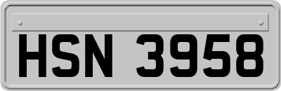 HSN3958