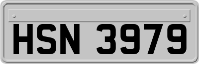 HSN3979