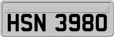 HSN3980