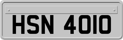 HSN4010