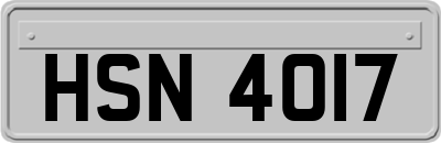 HSN4017