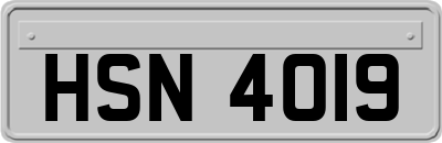 HSN4019