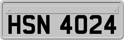 HSN4024