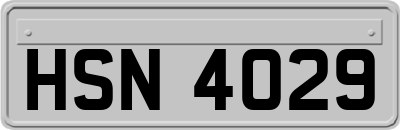 HSN4029
