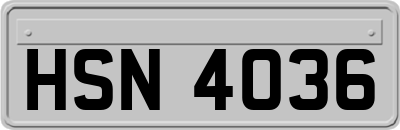HSN4036