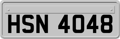 HSN4048