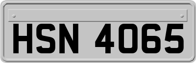 HSN4065