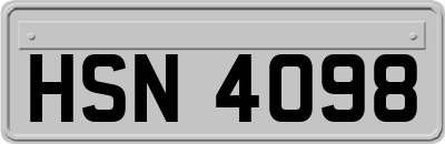 HSN4098