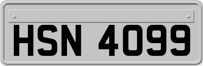 HSN4099