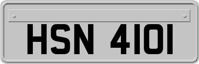 HSN4101