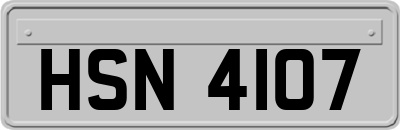 HSN4107