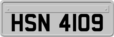 HSN4109