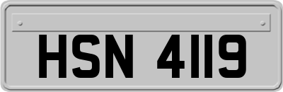 HSN4119