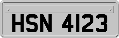HSN4123