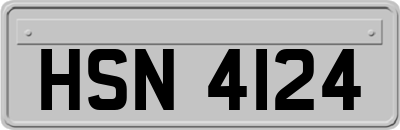 HSN4124