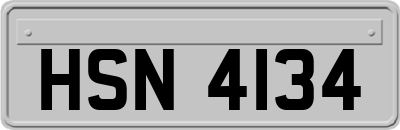 HSN4134