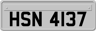 HSN4137