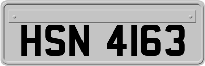HSN4163