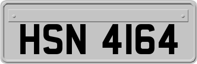 HSN4164