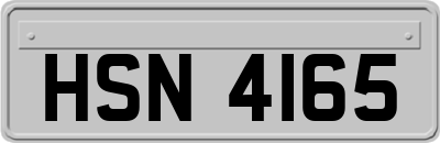 HSN4165