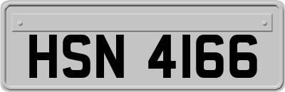 HSN4166