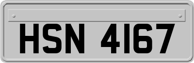 HSN4167