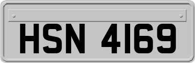 HSN4169