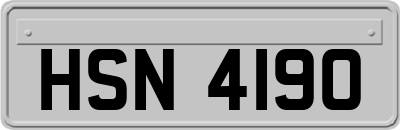 HSN4190