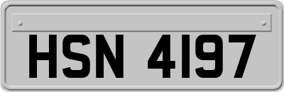 HSN4197