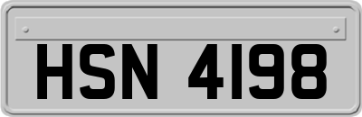 HSN4198