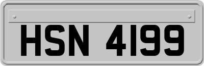 HSN4199