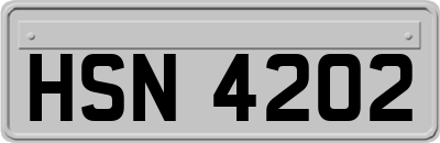 HSN4202