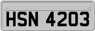 HSN4203