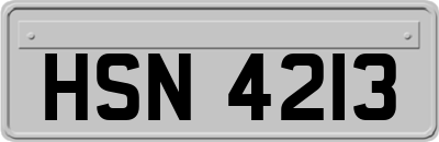HSN4213