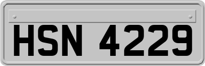 HSN4229