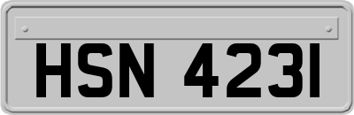 HSN4231