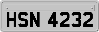 HSN4232
