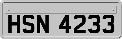 HSN4233
