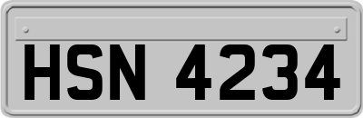 HSN4234
