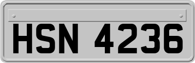 HSN4236