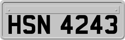HSN4243