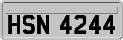 HSN4244
