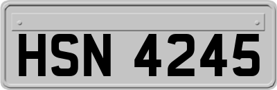 HSN4245